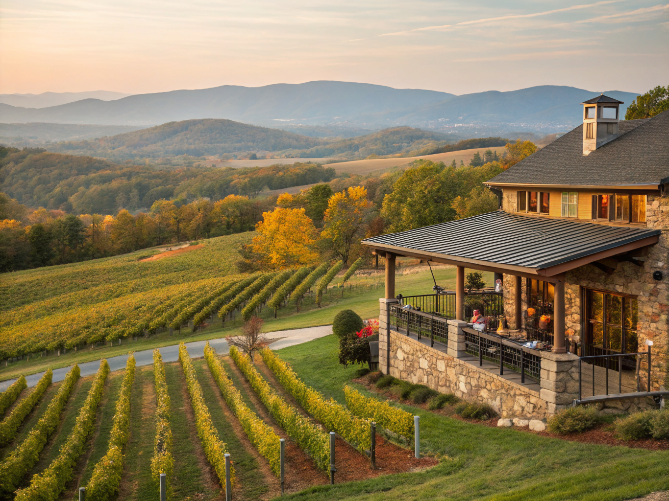Hickory Hill Vineyards